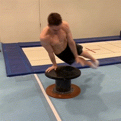 Pommel Mushroom